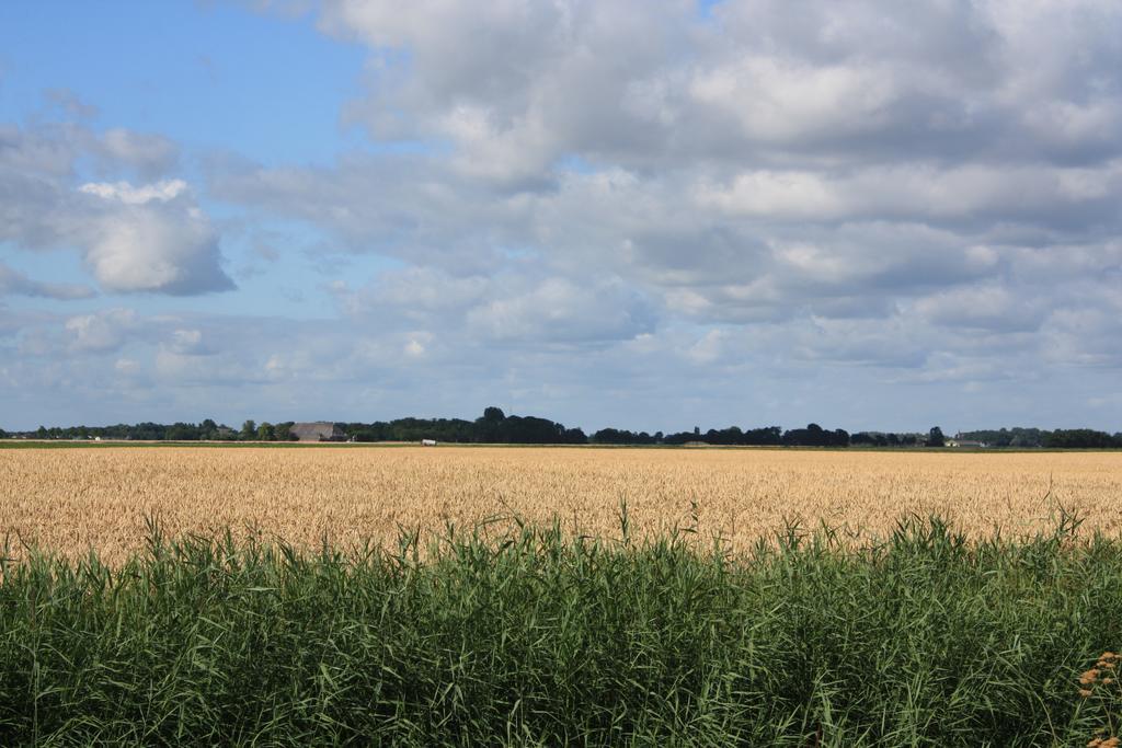 De Horizon, Slapen In Hutten Chalet Kloosterburen